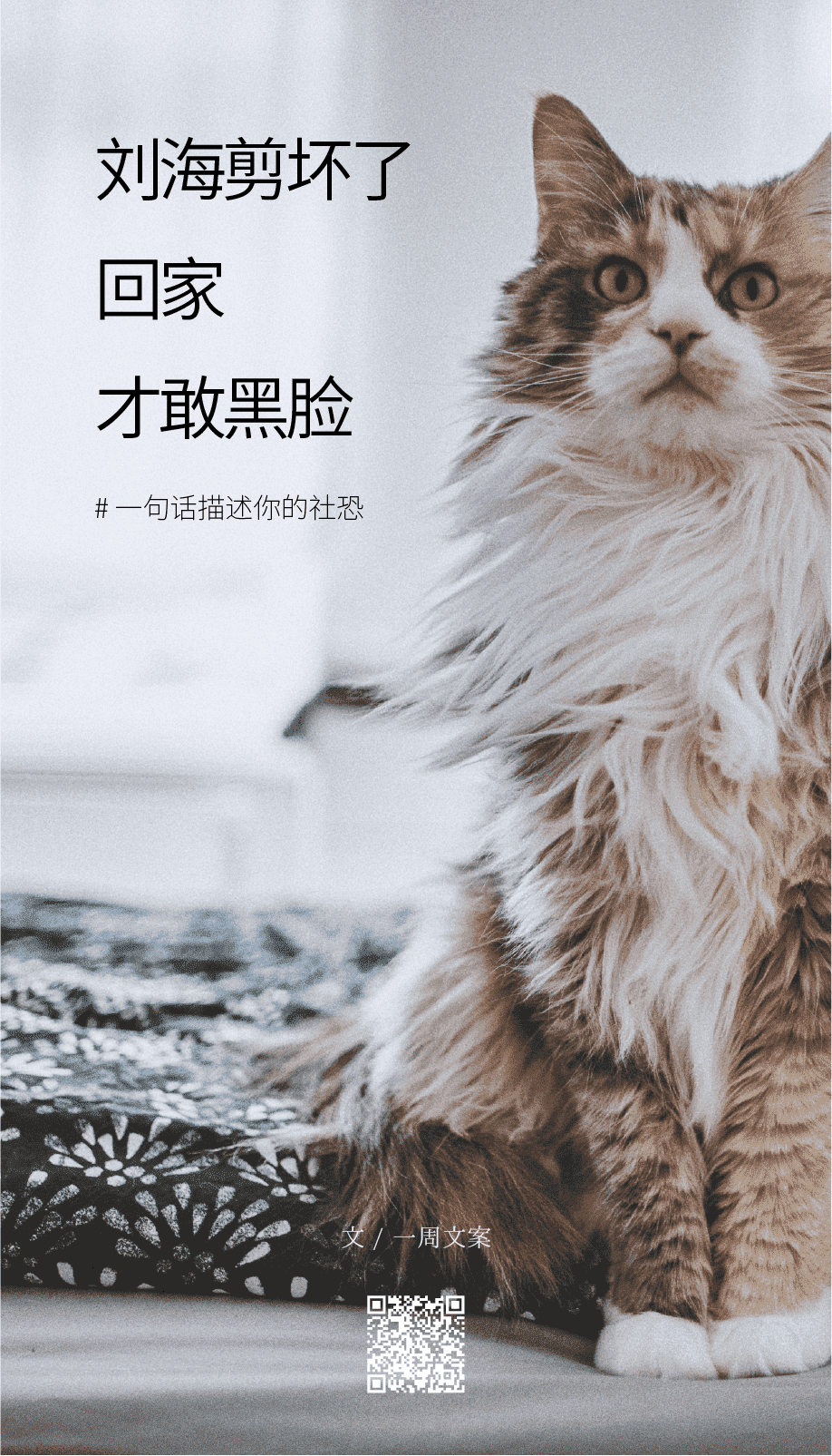 广告人干货库 文案:一句话描述你的社恐-广告人干货库