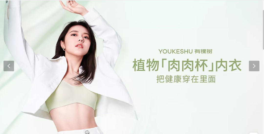 品牌30讲之9 | 成熟大品牌的打法-广告人干货库