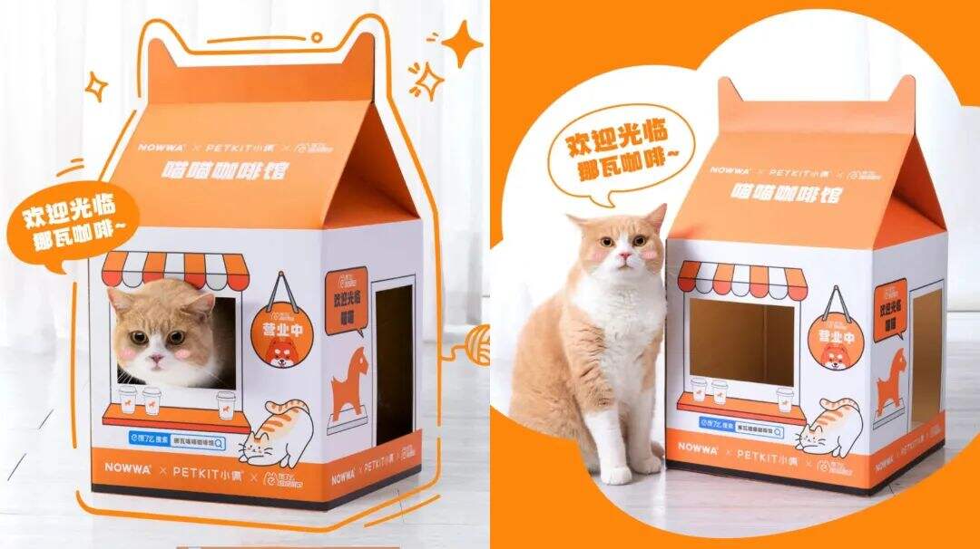 NOWWA X PETKIT小佩 X 饿了么推出猫屋-广告人干货库