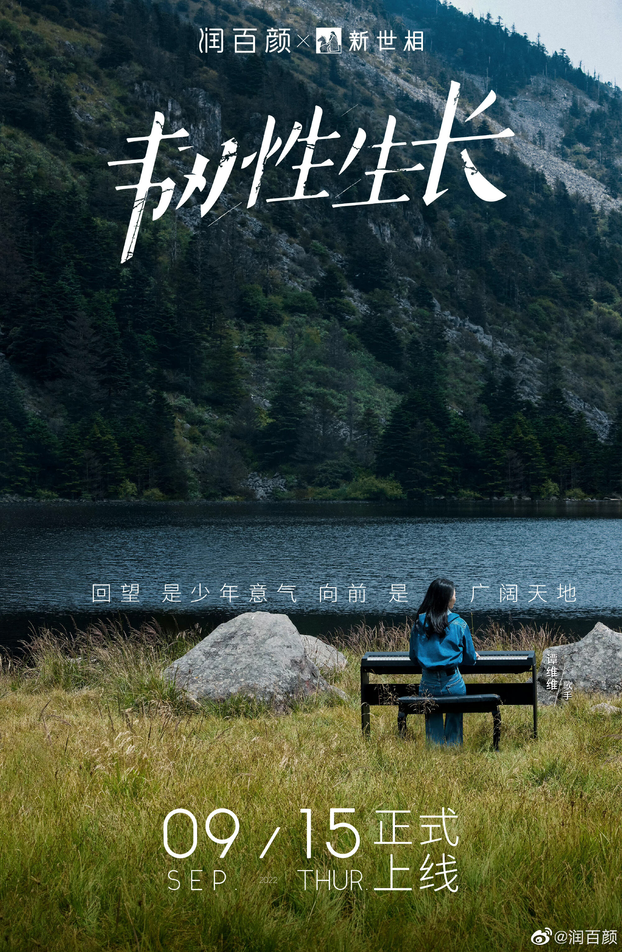 广告人干货库