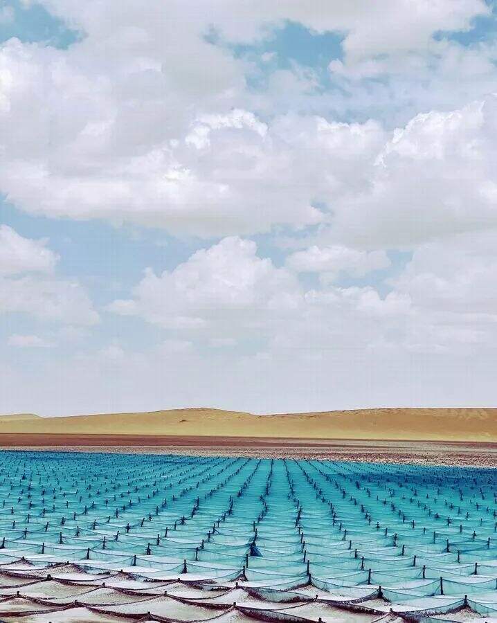 广告人干货库 2022苹果手机摄影大赛结果揭晓,神仙打架!-广告人干货库