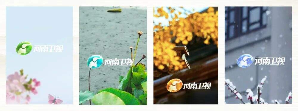 广告人干货库 又出圈了!河南卫视推出四季台标,每个季节都会变-广告人干货库