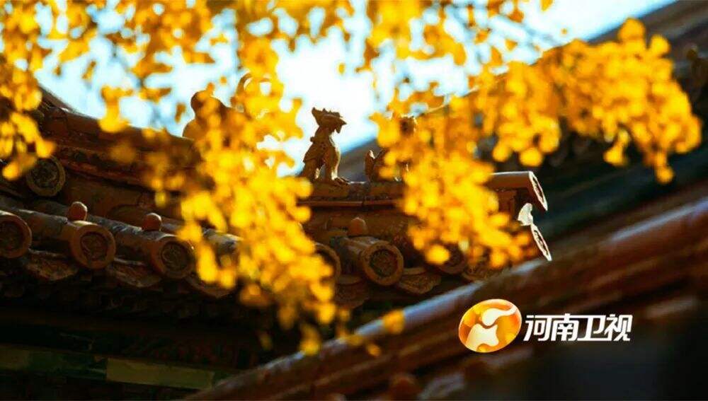 广告人干货库 又出圈了!河南卫视推出四季台标,每个季节都会变-广告人干货库