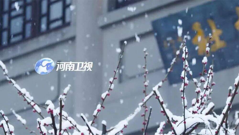广告人干货库 又出圈了!河南卫视推出四季台标,每个季节都会变-广告人干货库