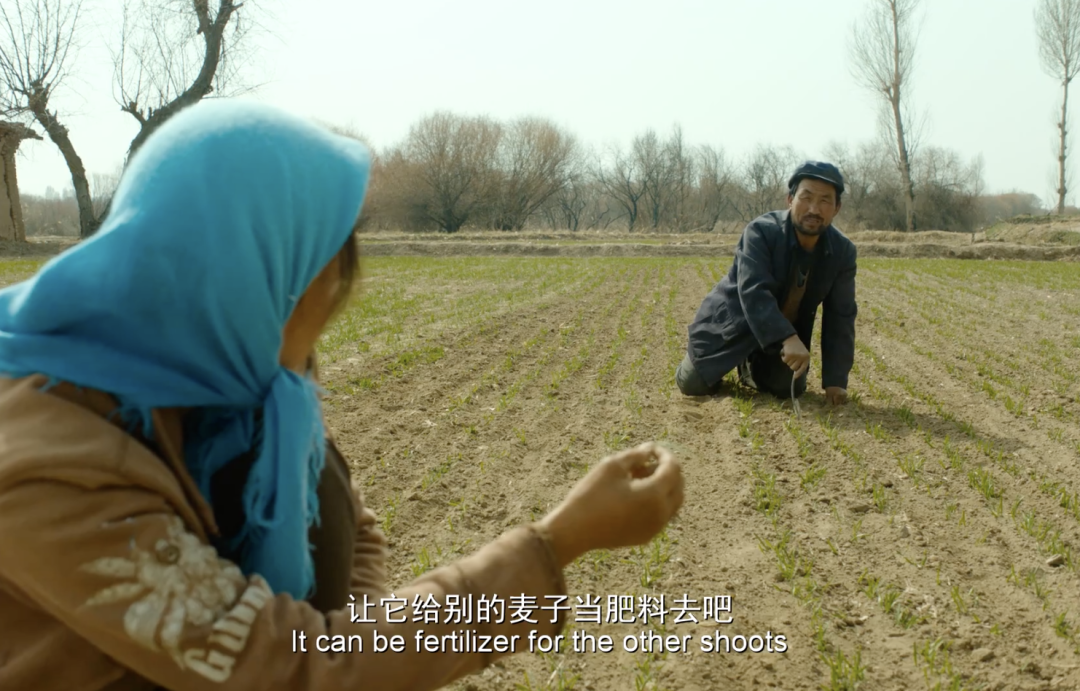 广告人干货库 《隐入尘烟》的文案与美术,都是人生-广告人干货库