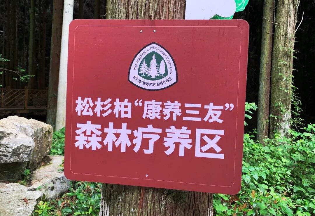广告人干货库 华与华:贵州道真城市品牌形象、品牌谚语及广告片-广告人干货库