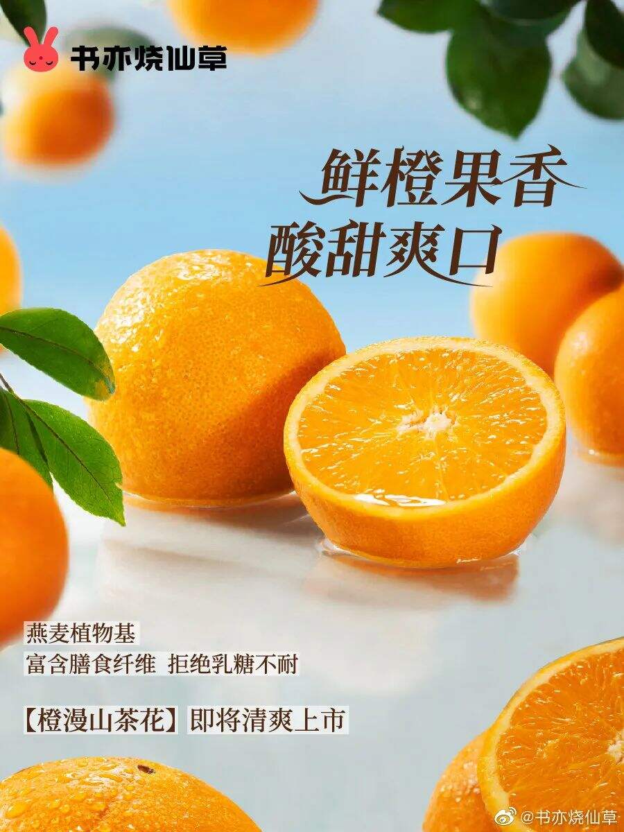 广告人干货库 蜜雪冰城:用大众看得懂的设计做品牌,不是每个品牌都适合先锋-广告人干货库