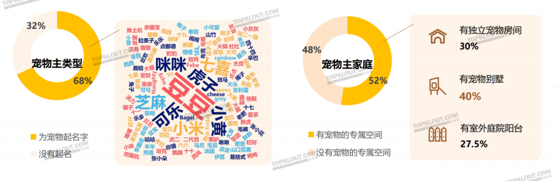 养“娃”囤粮，年轻人的“萌宠依赖”创造营销新空间｜年轻人生活消费观察系列-广告人干货库