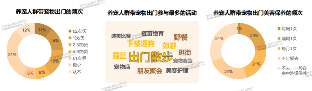 养“娃”囤粮，年轻人的“萌宠依赖”创造营销新空间｜年轻人生活消费观察系列-广告人干货库