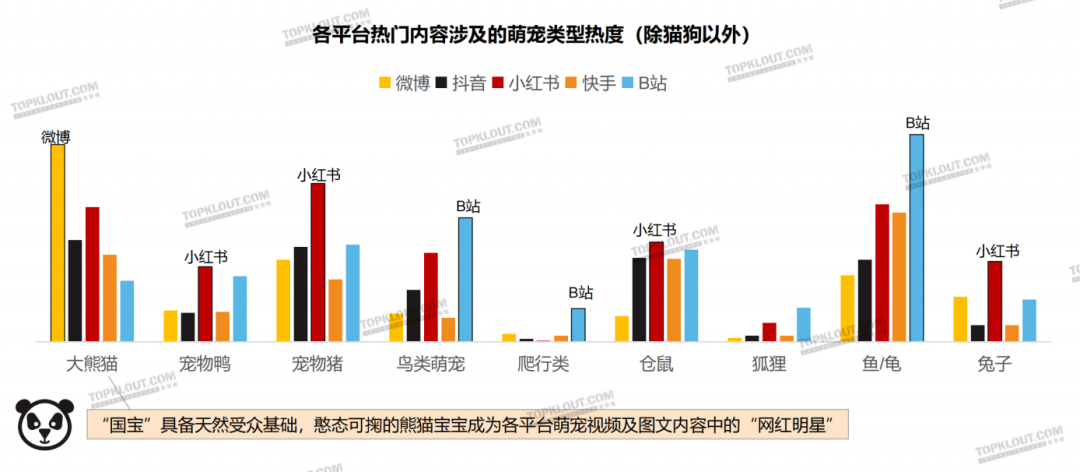 广告人干货库 养“娃”囤粮,年轻人的“萌宠依赖”创造营销新空间|年轻人生活消费观察系列-广告人干货库