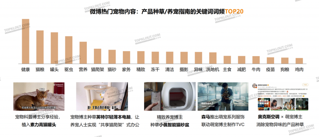 养“娃”囤粮，年轻人的“萌宠依赖”创造营销新空间｜年轻人生活消费观察系列-广告人干货库