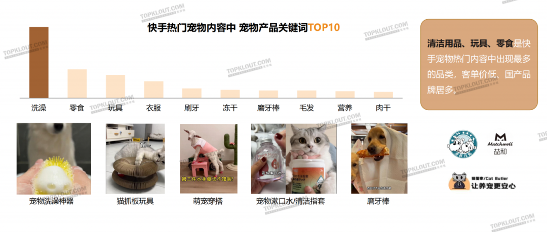 养“娃”囤粮，年轻人的“萌宠依赖”创造营销新空间｜年轻人生活消费观察系列-广告人干货库