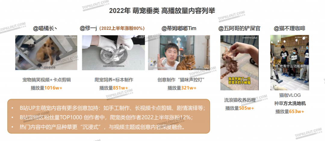 养“娃”囤粮，年轻人的“萌宠依赖”创造营销新空间｜年轻人生活消费观察系列-广告人干货库