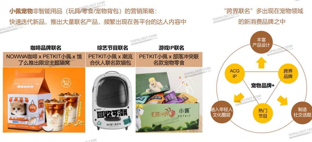 养“娃”囤粮，年轻人的“萌宠依赖”创造营销新空间｜年轻人生活消费观察系列-广告人干货库