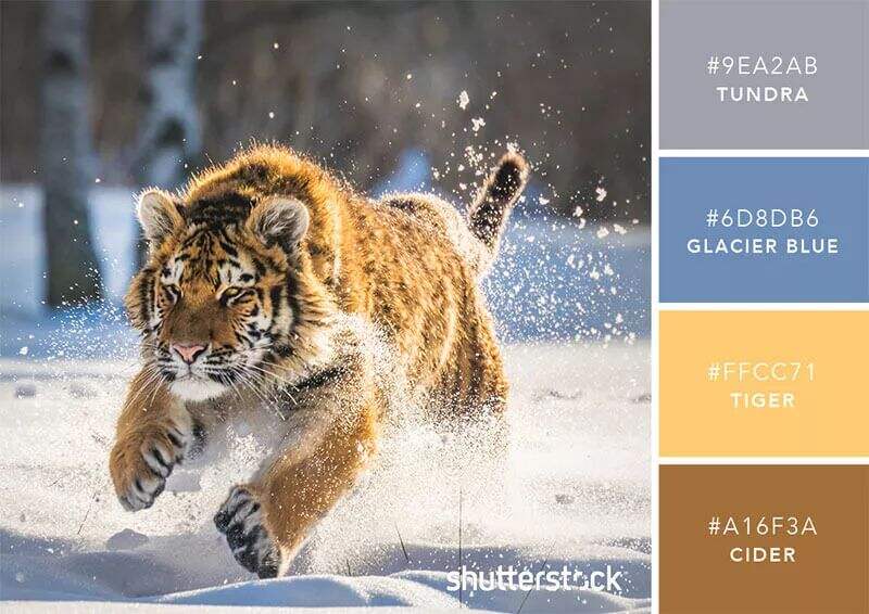 广告人干货库 广告人干货库