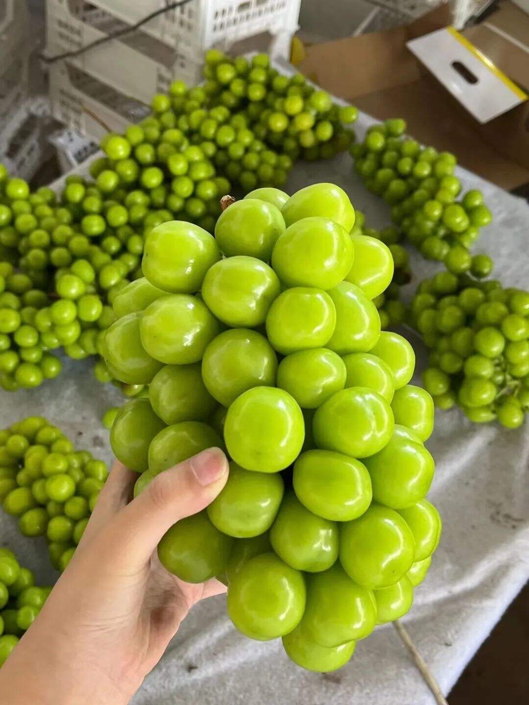 广告人干货库 广告人干货库
