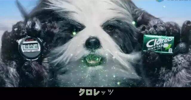 广告人干货库