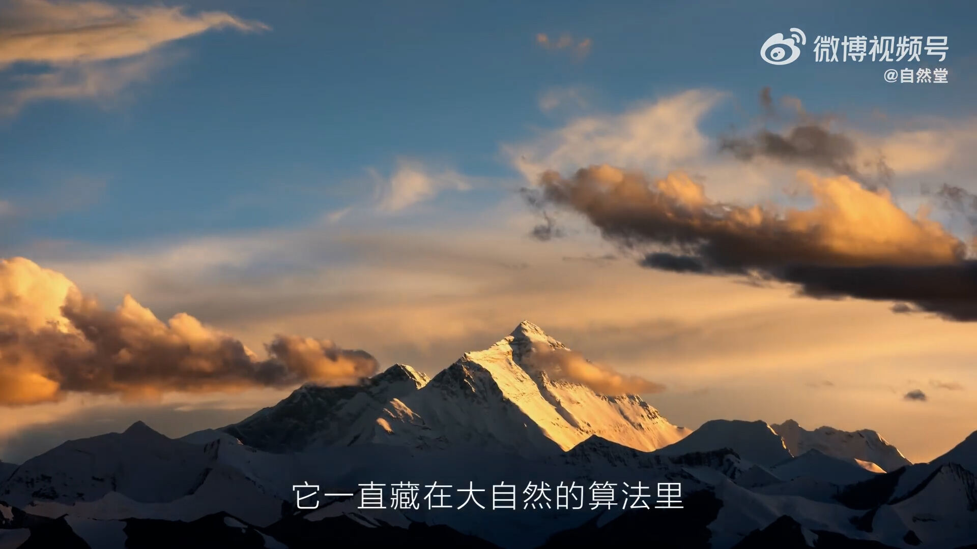 自然堂x李佳琦《特别的算法》首度解密-广告人干货库