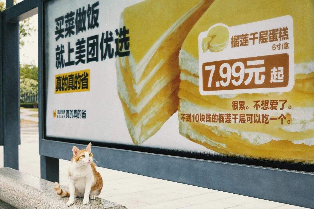 广告人干货库 美团优选又出佳作:「省钱文学」闯进了市井烟火-广告人干货库