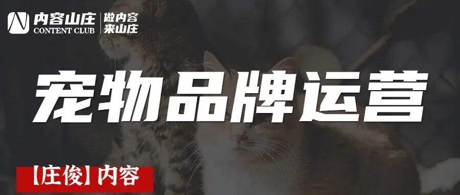 广告人干货库 小红书宠物品牌玩转套路是这些-广告人干货库