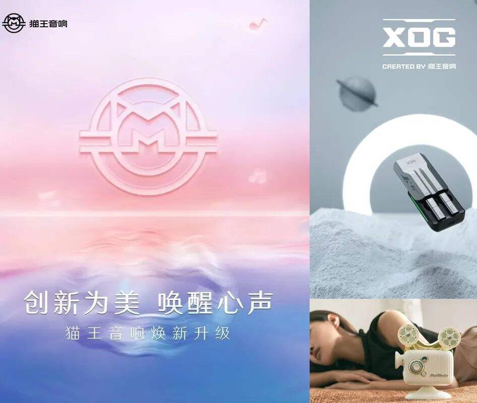 广告人干货库 盘点转转、Babycare、素士、ubras、猫王5大品牌升级,得到3个趋势-广告人干货库