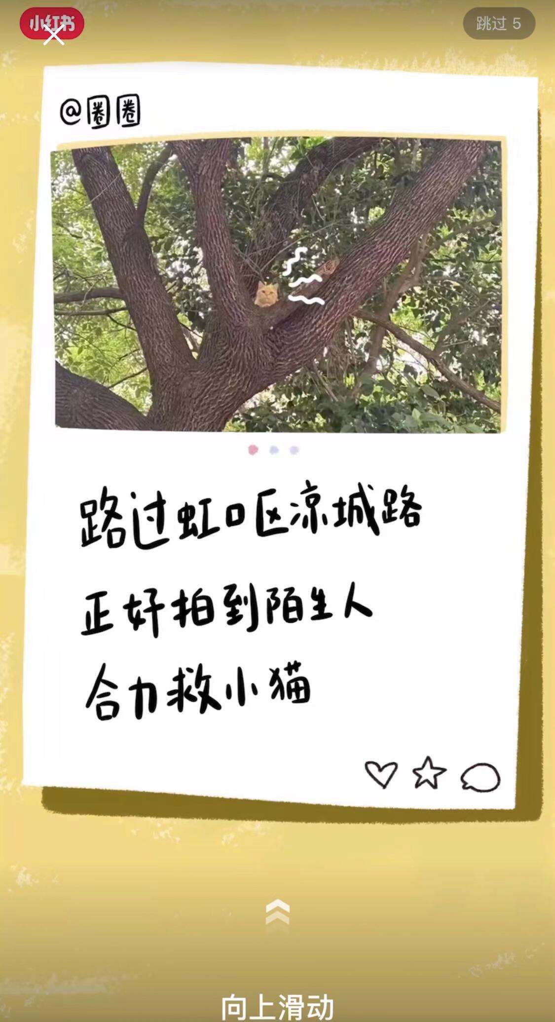 广告人干货库