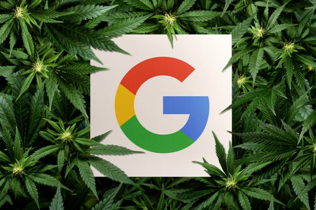 谷歌将试点投放CBD广告-广告人干货库