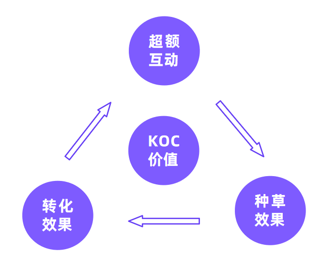广告人干货库 2023年做小红书必备的10个模型-广告人干货库