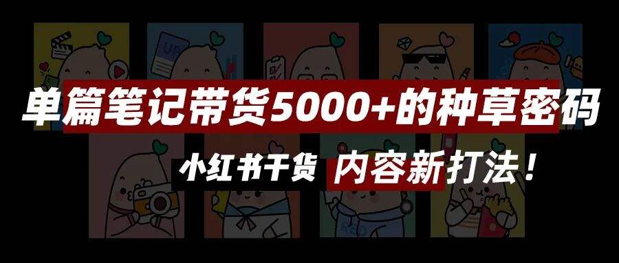 广告人干货库 收藏!小红书投放全攻略|年度汇编精华版-广告人干货库