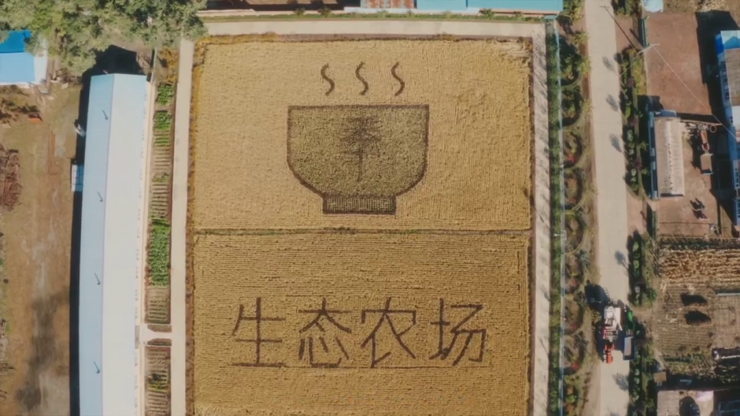 广告人干货库 十月公关案例盘点:闲鱼低碳11.11;老乡鸡被薅羊毛;网易云音乐「情绪出口灯箱」;名创优品为熊猫种竹子;老板电器公益早市...-广告人干货库