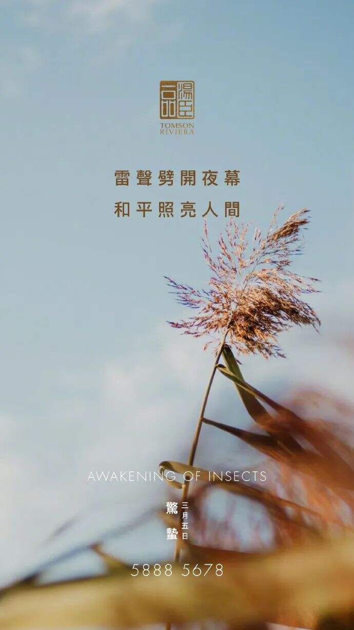 广告人干货库 最全!2022汤臣一品24节气借势文案合集!-广告人干货库