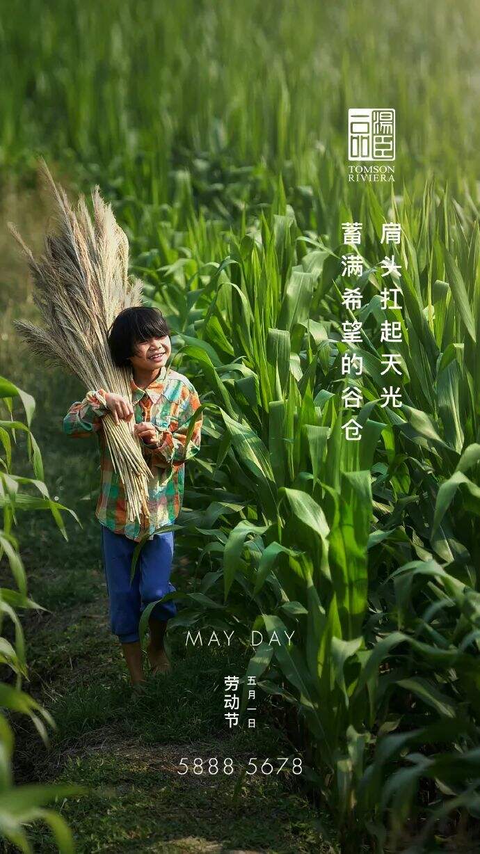 广告人干货库 最全!2022汤臣一品24节气借势文案合集!-广告人干货库