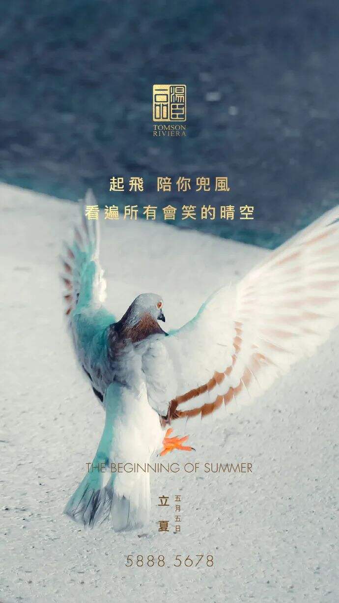 广告人干货库 最全!2022汤臣一品24节气借势文案合集!-广告人干货库