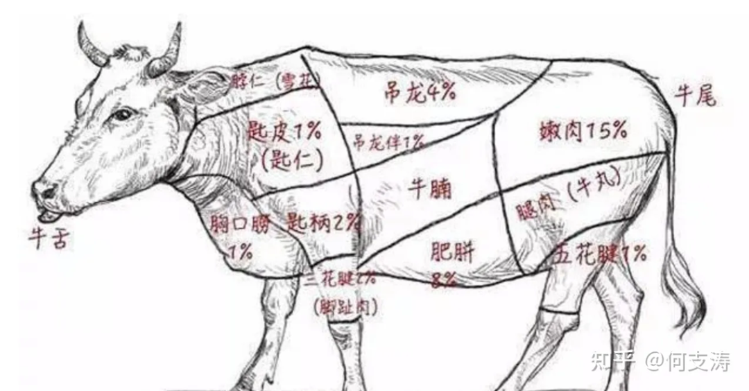 广告人干货库 欧赛斯创始人年会演讲实录:作品2023-感动超越-广告人干货库