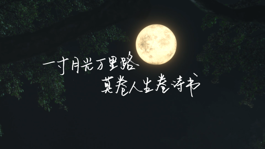 广告人干货库