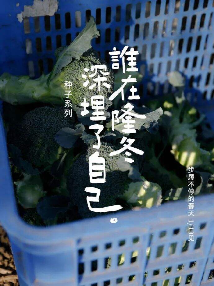 广告人干货库