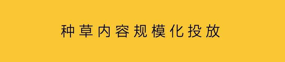 广告人干货库 品牌种草,走向确定性-广告人干货库