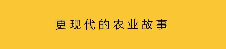 助农营销，现代化与品牌化-广告人干货库