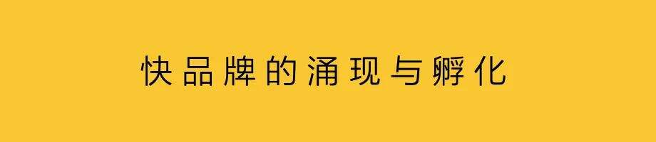 广告人干货库 生态品牌:先做好,再做大-广告人干货库