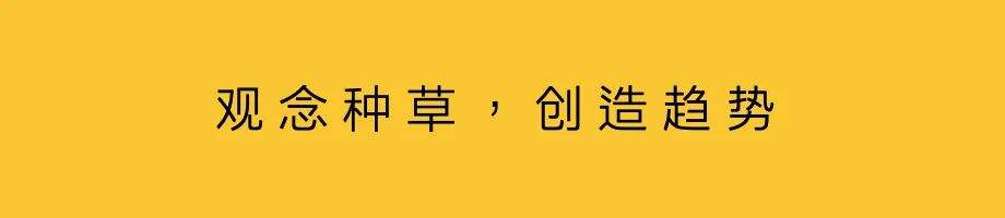 广告人干货库 内容策略:设立框架,共创新增量-广告人干货库