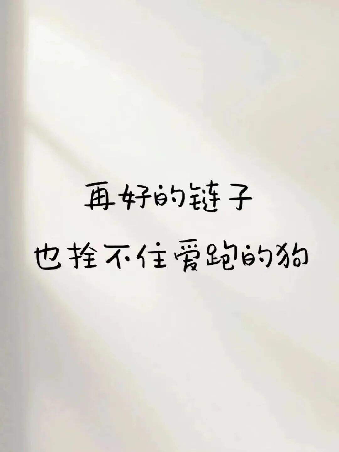 广告人干货库 分享一些有趣的友圈沙雕文案-广告人干货库