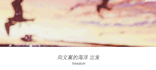 广告人干货库 广告人干货库