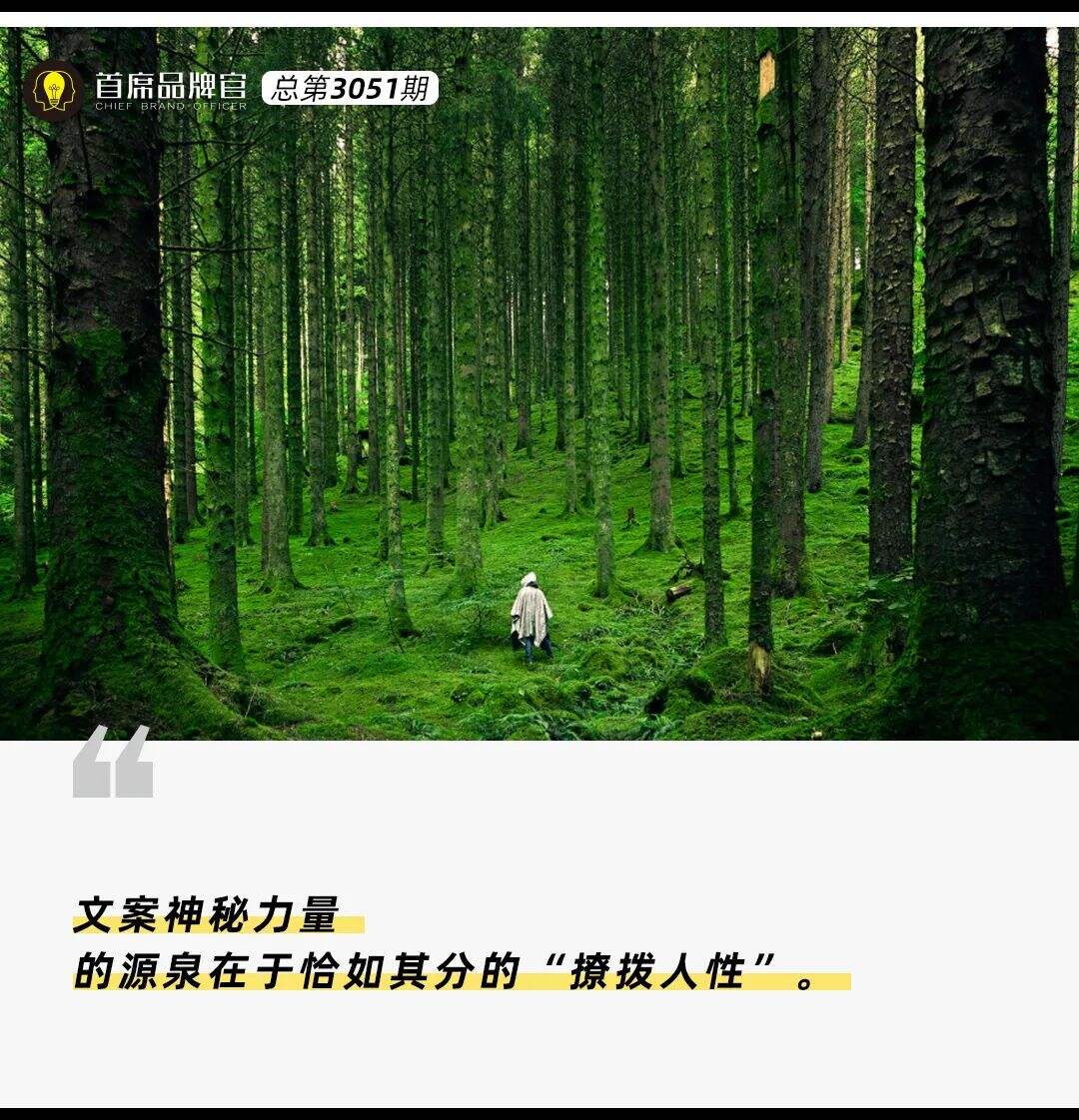 广告人干货库 广告人干货库