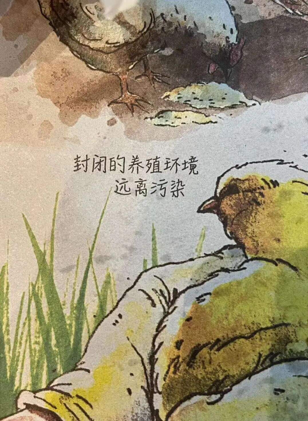广告人干货库 广告人干货库