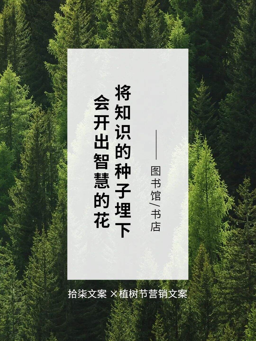 广告人干货库 8句植树节借势文案,值得看!-广告人干货库