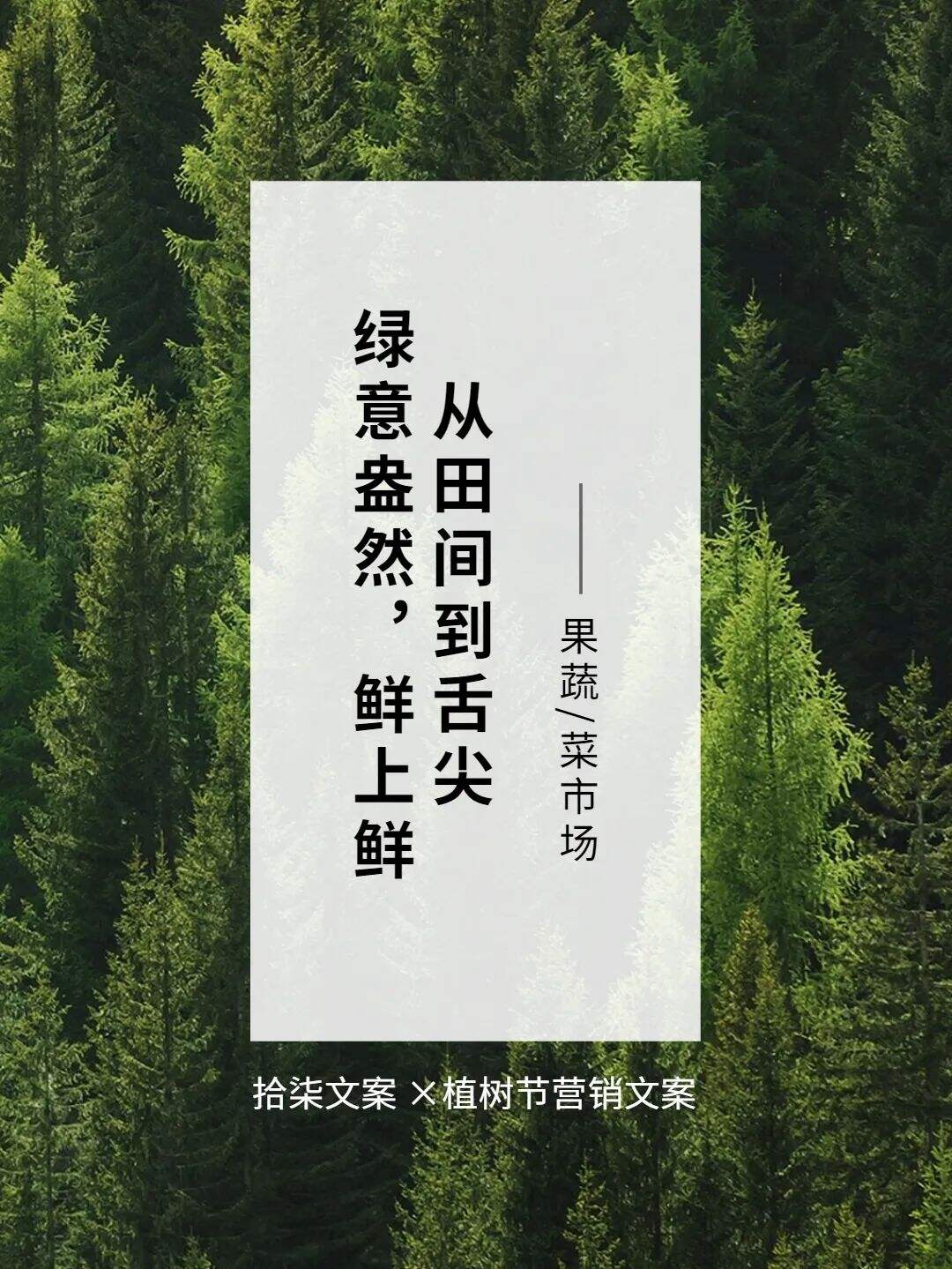 广告人干货库 8句植树节借势文案,值得看!-广告人干货库