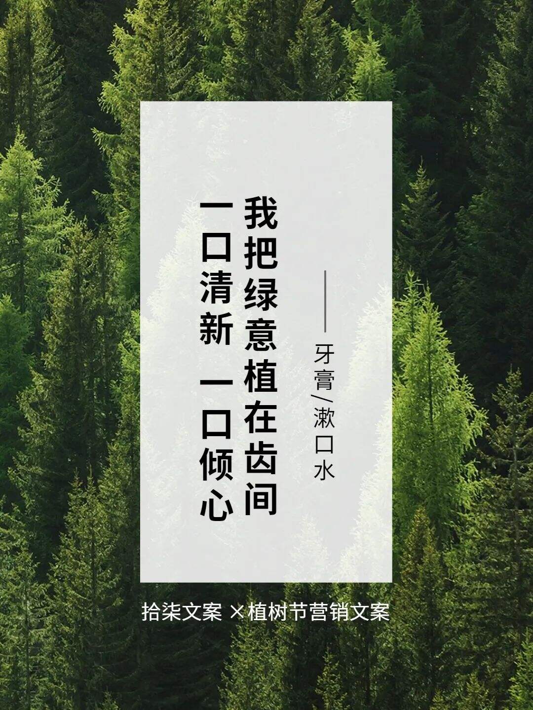 广告人干货库 8句植树节借势文案,值得看!-广告人干货库
