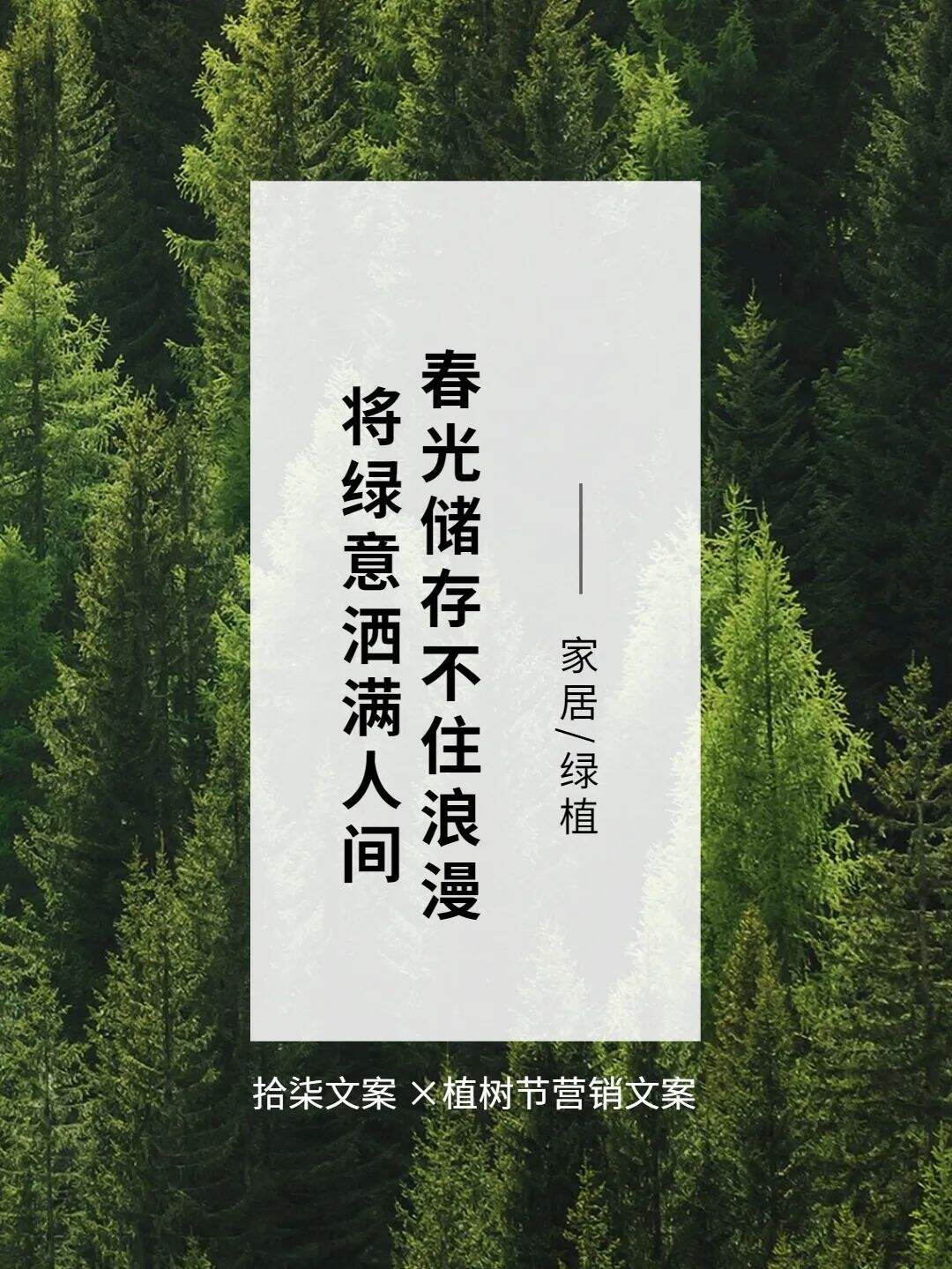 广告人干货库 8句植树节借势文案,值得看!-广告人干货库