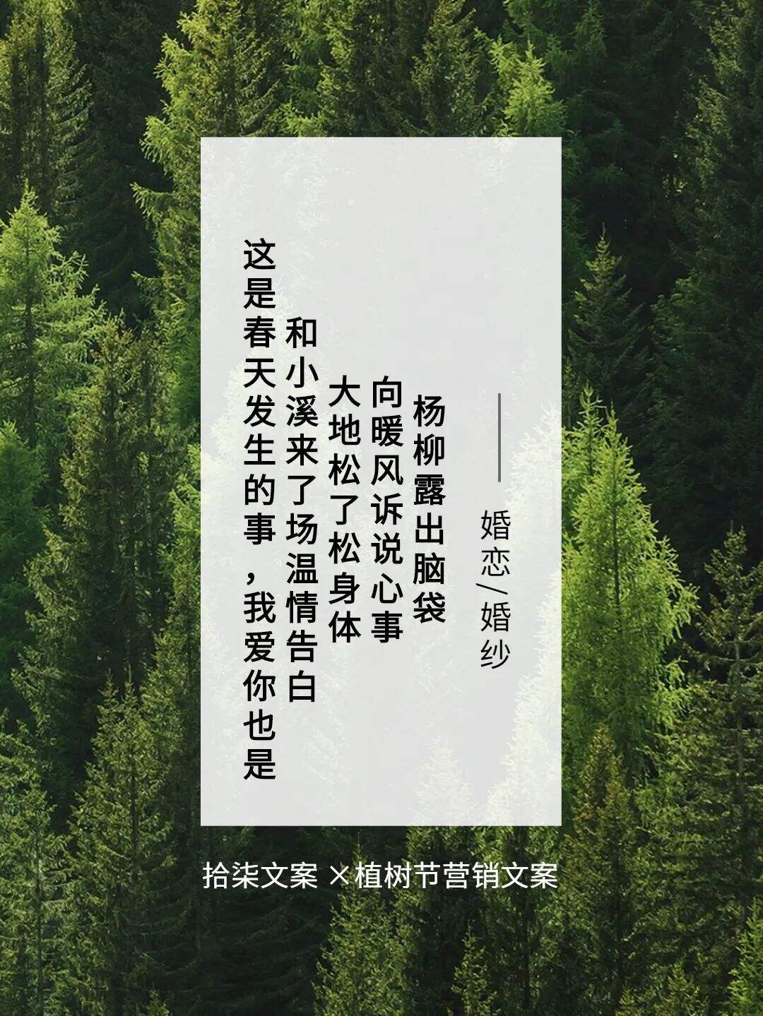 广告人干货库 8句植树节借势文案,值得看!-广告人干货库