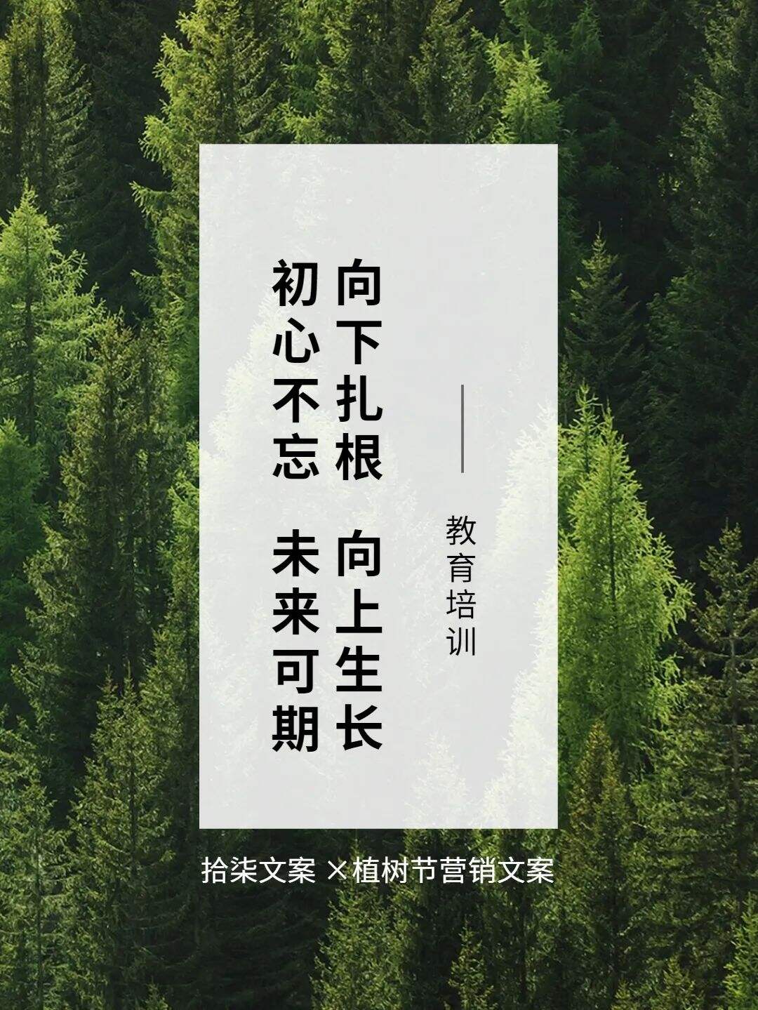 广告人干货库 8句植树节借势文案,值得看!-广告人干货库